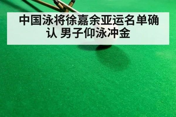 中国泳将徐嘉余亚运名单确认 男子仰泳冲金