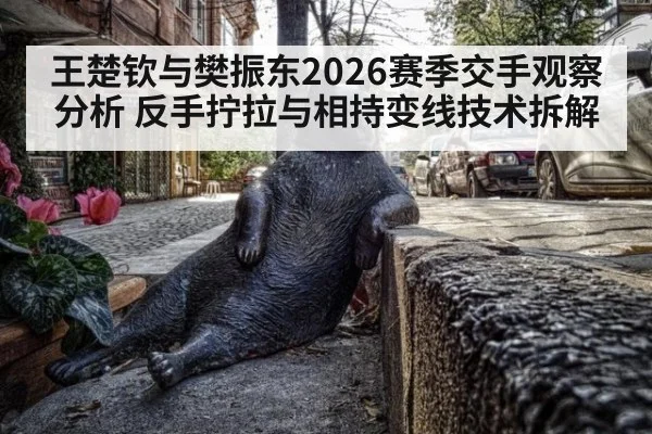 王楚钦与樊振东2026赛季交手观察分析 反手拧拉与相持变线技术拆解